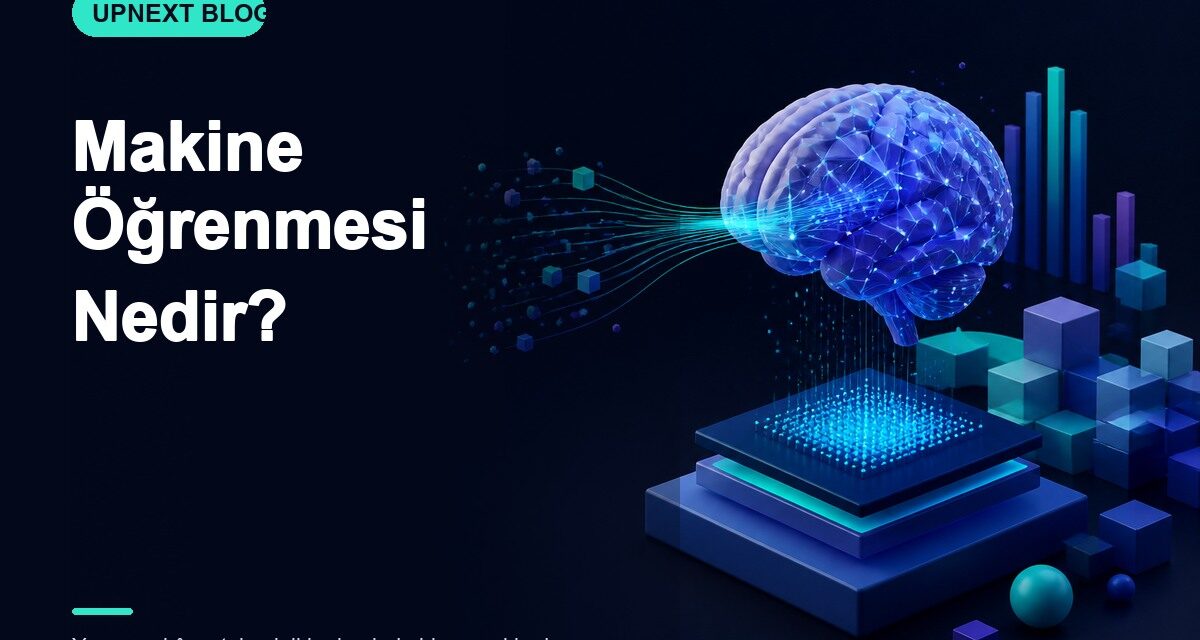 Makine Öğrenmesi Nedir?