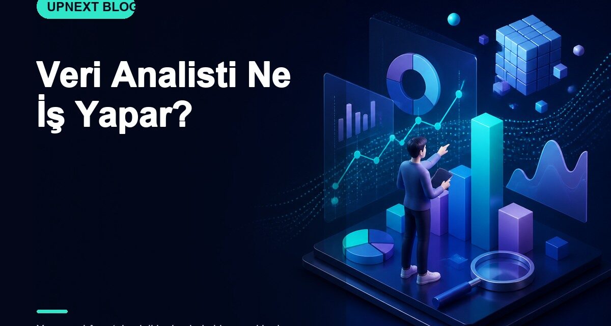 Veri Analisti Ne İş Yapar?