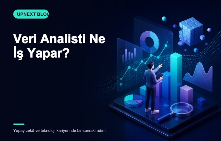 Veri Analisti Ne İş Yapar?