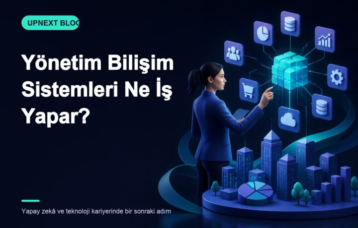 Yönetim Bilişim Sistemleri Ne İş Yapar?